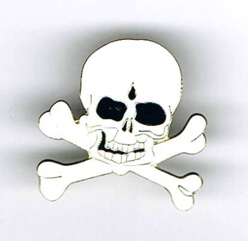 Skull & Bones Pin