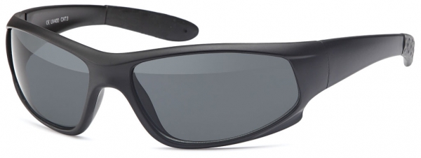 Polarisationsbrille (Helmbrille)