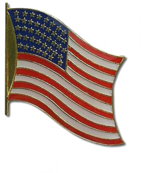 USA Pin